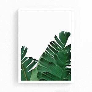 May include: A framed print featuring a close-up of green banana leaves against a white background.