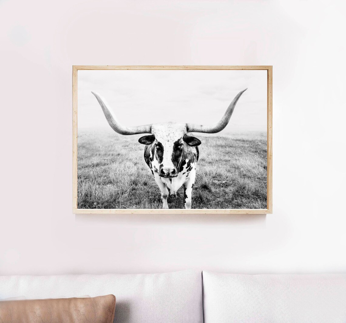 highland-cow-photo-print-bull-art-print-highland-cow-print-etsy