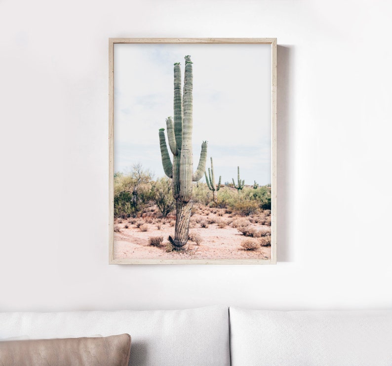 Desert Wall Art Desert Photography Cactus Wall Art South | Etsy