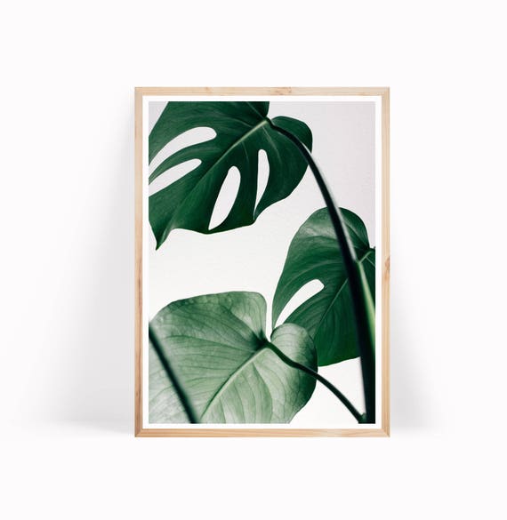 Monstera Leaves Botanical Print, Monstera Leaf Art, Tropical Leaf Wall Art,  Botanical Poster Monstera Art Print, Large Leaf Poster, Wall Art - Etsy
