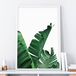 May include: A white framed print featuring a close-up of green banana leaves against a white background.