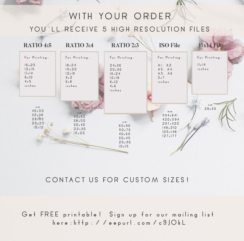 Peony Wall Art Peony Print Set of 3 Blush Pink Wall Art | Etsy