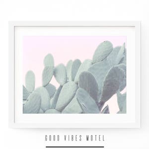 Kaktus Druck, Kaktus Poster, tropischen Wandkunst, tropischen Poster, westlichen, botanische Druck, Pflanze, erröten Wandkunst, übergroße Kunst, Kaktus Kunst