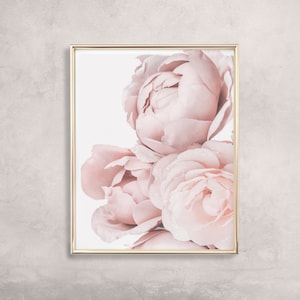 Op de afbeelding: Een ingelijste print van een close-up van zachte roze pioenen. De bloemen zijn in een cluster gerangschikt en hebben een delicate, romantische uitstraling.