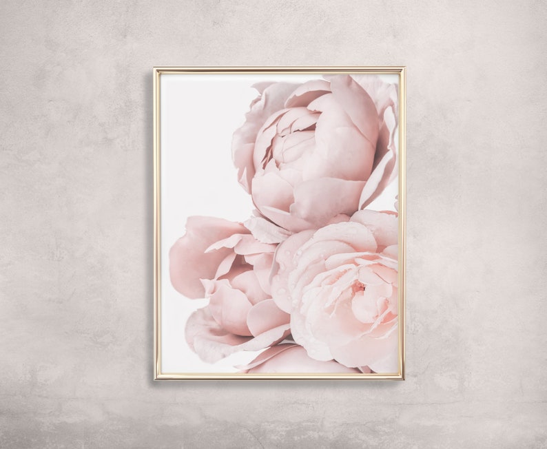 Op de afbeelding: Een ingelijste print van een close-up van zachte roze pioenen. De bloemen zijn in een cluster gerangschikt en hebben een delicate, romantische uitstraling.