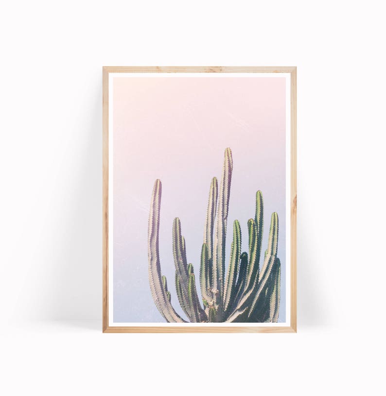 May include: A framed print of a cactus plant with green stems against a pink and purple gradient background.