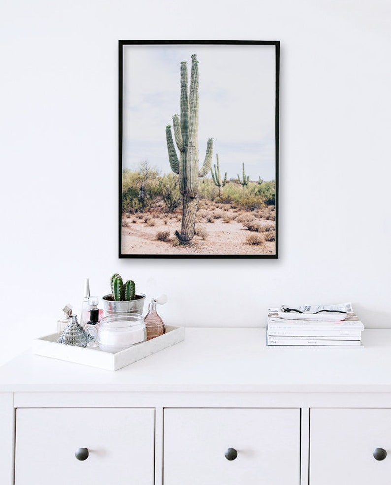 Desert Wall Art Desert Photography Cactus Wall Art South | Etsy