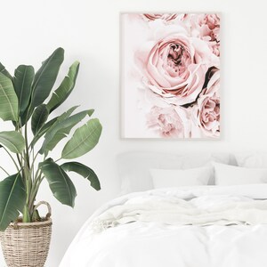 May include: A close-up of a pink rose with soft petals. The rose is in focus, while the background is blurred. The image is in a white frame.