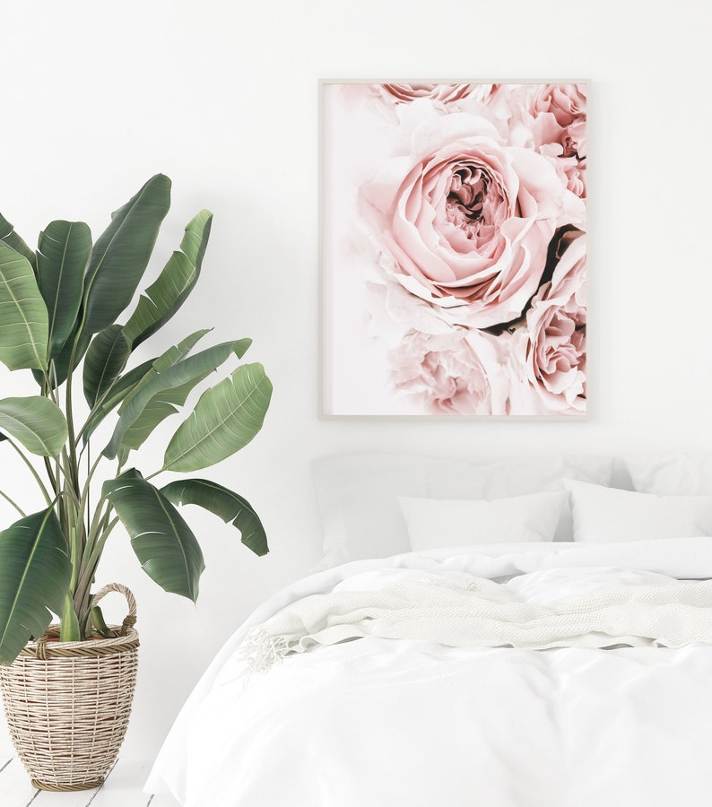 May include: A close-up of a pink rose with soft petals. The rose is in focus, while the background is blurred. The image is in a white frame.