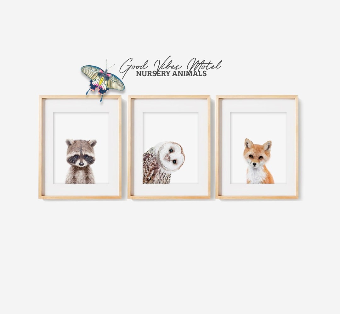 Woodland Animal Prints for Nursery Decor, Printable Art, Set of 3 ...