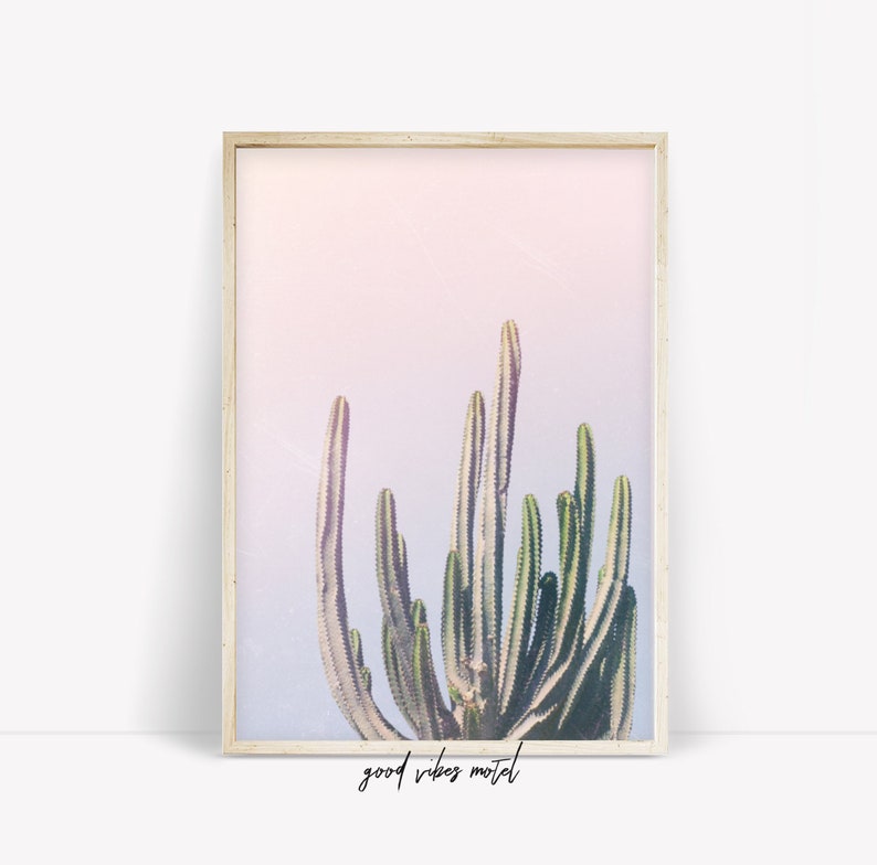May include: A framed print of a cactus plant against a pink and blue ombre background. The text "good vibes motel" is printed below the image.