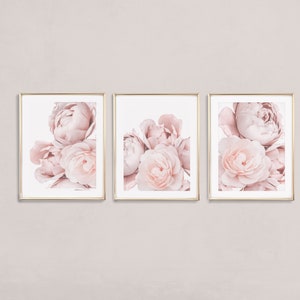Op de afbeelding: Drie ingelijste prints van roze pioenrozen in een zachte, romantische stijl. De prints zijn in een rij geplaatst, met de bloemen die elkaar lichtjes overlappen.