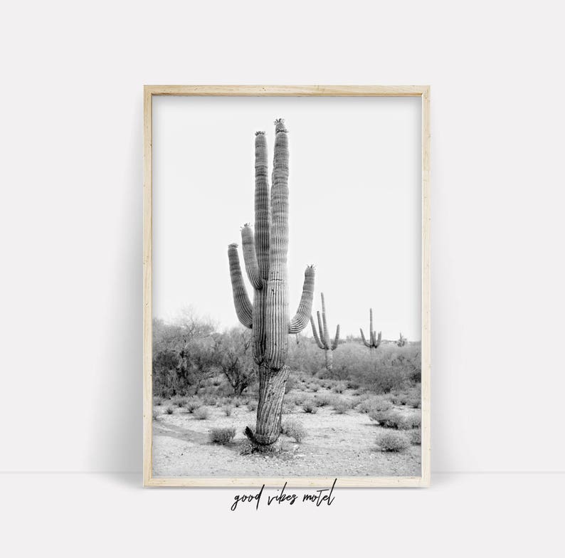 Cactus Photo, Black & White Cactus Print, Desert Art, Printable Wall Decor, Cactus Digital Download, South Western Decor, Desert Art Print image 2