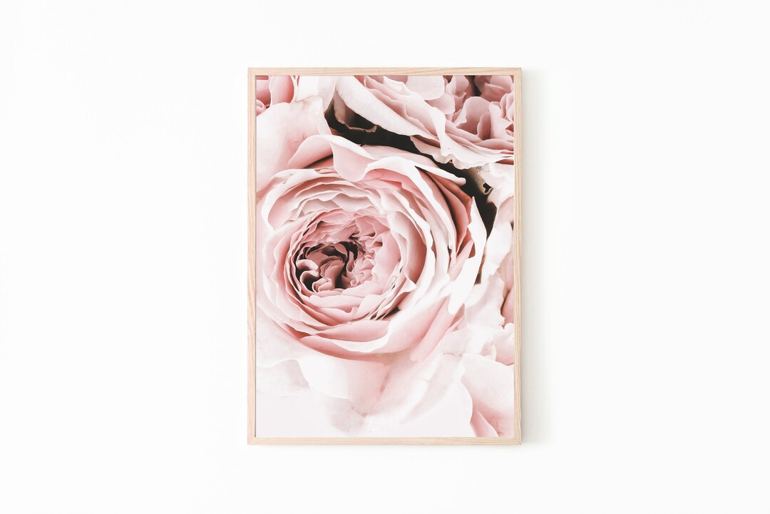 Peony Print, Flower Print Wall Art, Blush Pink Wall Art, Botanical ...