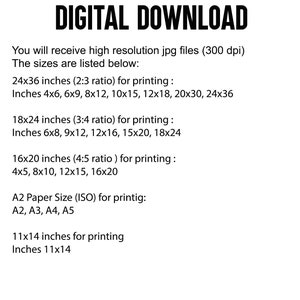 May include: Text on a white background listing the different sizes of digital downloads available. The sizes are listed in inches and include 24x36, 18x24, 16x20, and 11x14. The text also includes the A2 paper size (ISO) for printing.
