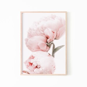 Peony Wall Art, Peony Print Set of 3, Blush Pink Wall Art, Botanical ...