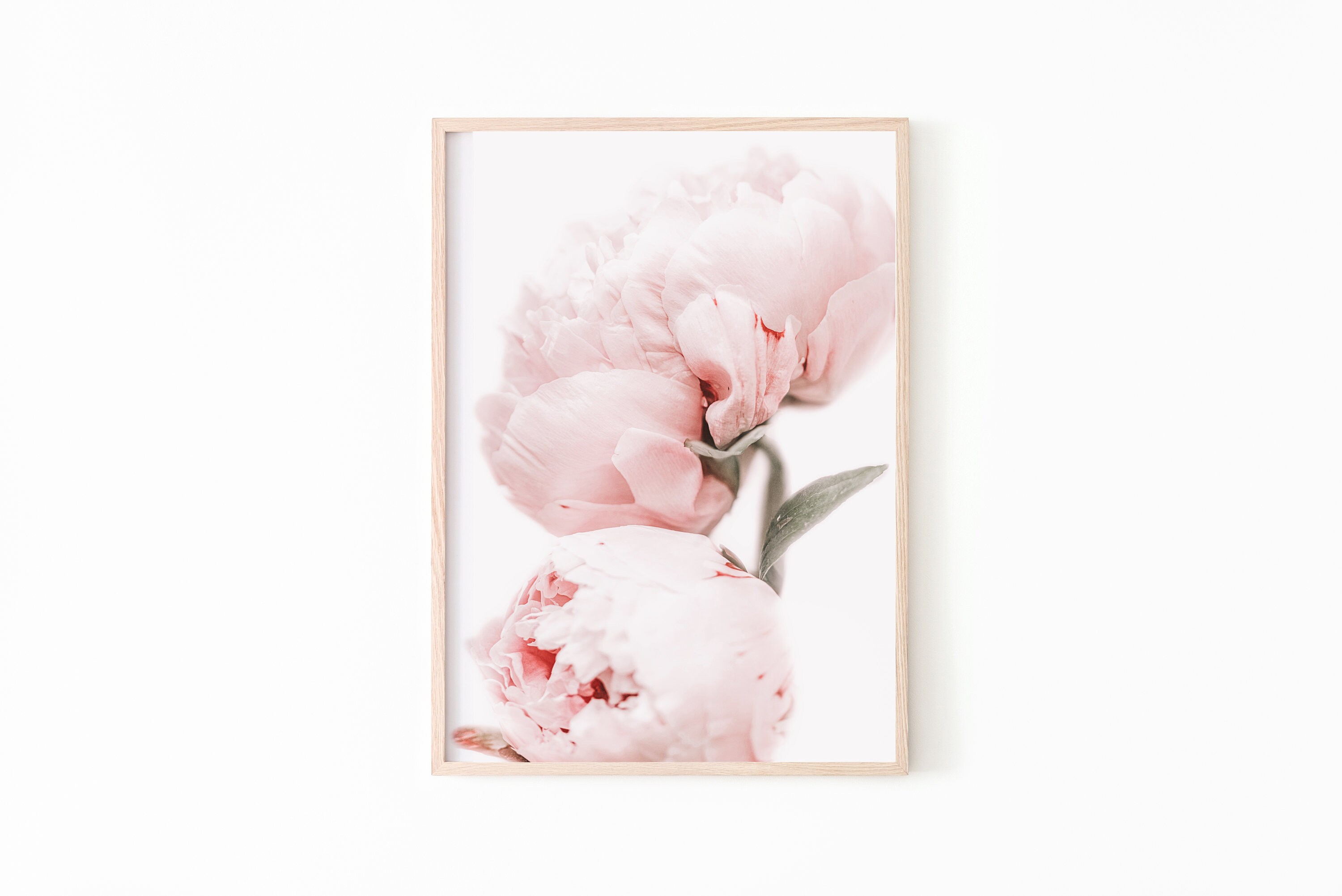 Peony Wall Art, Peony Print Set of 3, Blush Pink Wall Art, Botanical ...