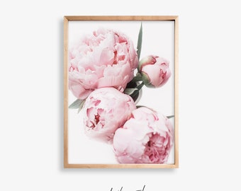 Peony Wall Art Floral Print Download, Peony Print Pink Wall Art, Flower Print Digital, Botanical Printable Art