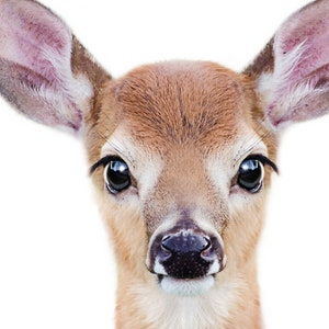 Baby Deer Print, Printable Art, Woodland Nursery Decor, Baby Animals ...