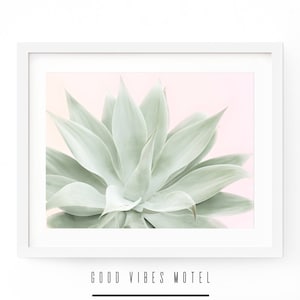 Succulent Wall Art Print, Plant Wall Art, Botanical Wall Print, Succulent Photo Print, Cactus Wall Art, Cactus Instant Download, Agave Print