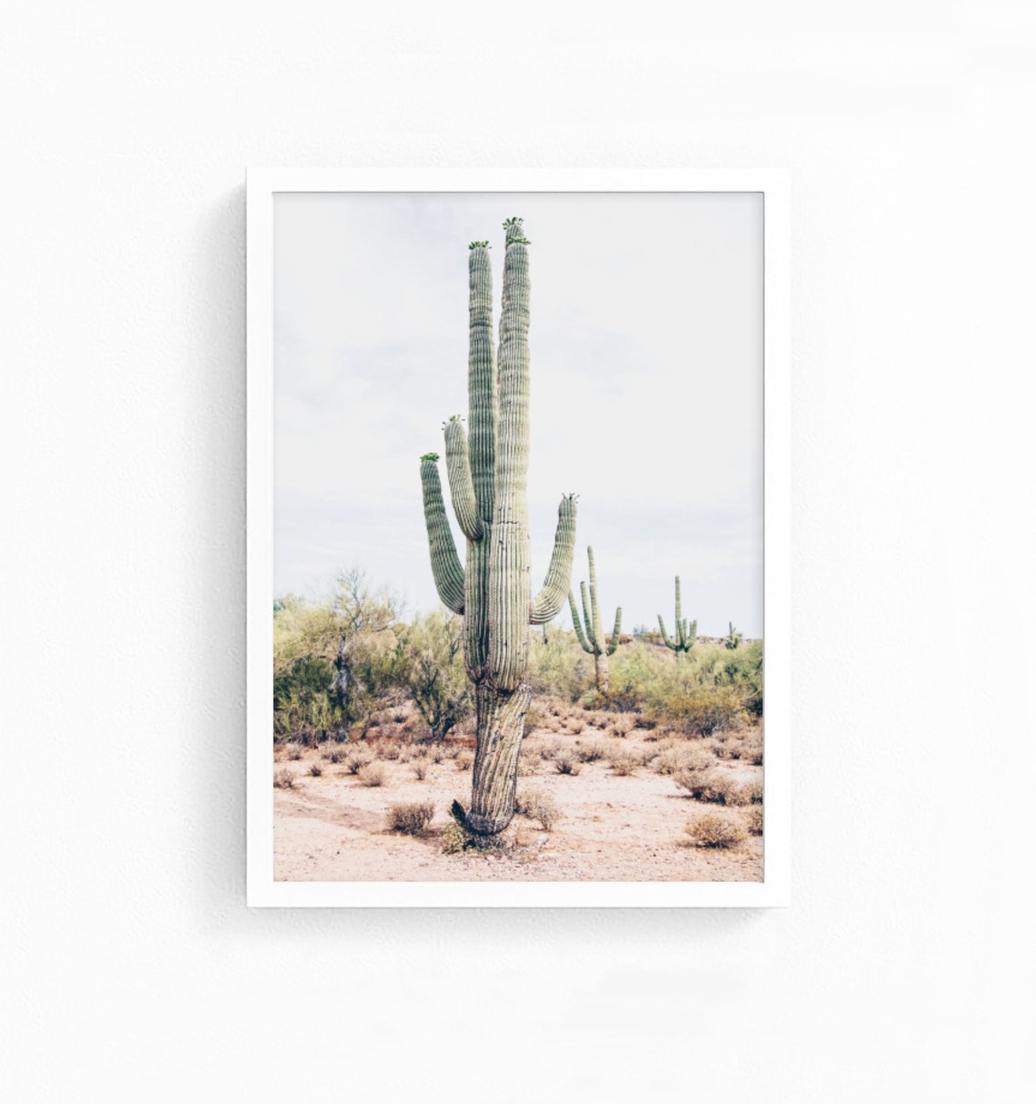 Desert Wall Art Desert Photography Cactus Wall Art South | Etsy