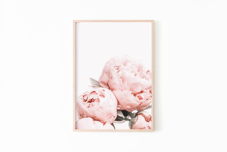 Peony Wall Art Peony Print Set of 3 Blush Pink Wall Art Etsy
