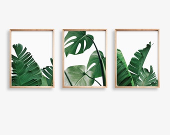 Tropical Leaf Print Set of 3 Prints, Palm Leaf Print, Monstera Print, Botanical Art, Green Leaves Print Set, Wall Art, Digital Prints