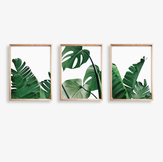 Tropical Leaf Print Set of 3 Prints, Palm Leaf Print, Monstera Print, Botanical Art, Green Leaves Print Set, Wall Art, Digital Prints