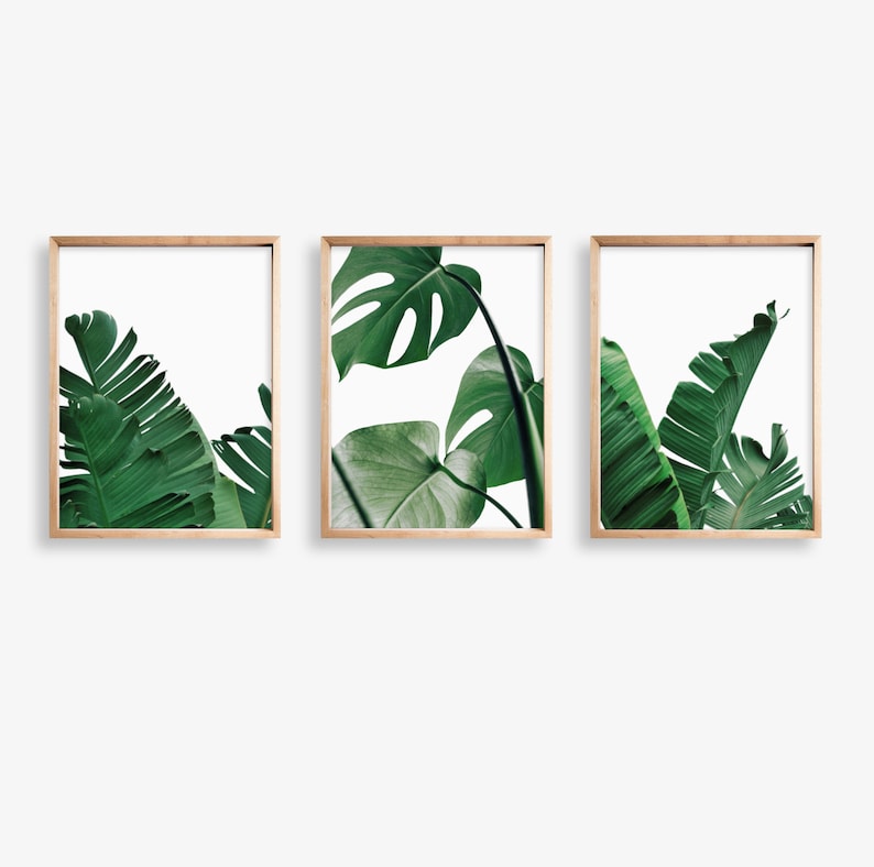 May include: Three framed prints of tropical leaves. The prints feature large, green leaves with a white background. The frames are a light wood color.