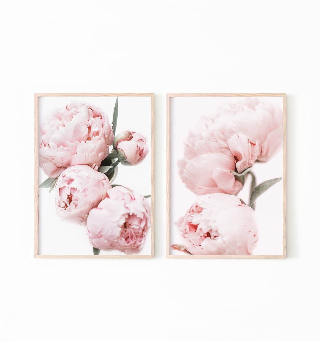 Peony Print, Flower Print, Peony Wall Art Set of 2 Prints, Botanical ...