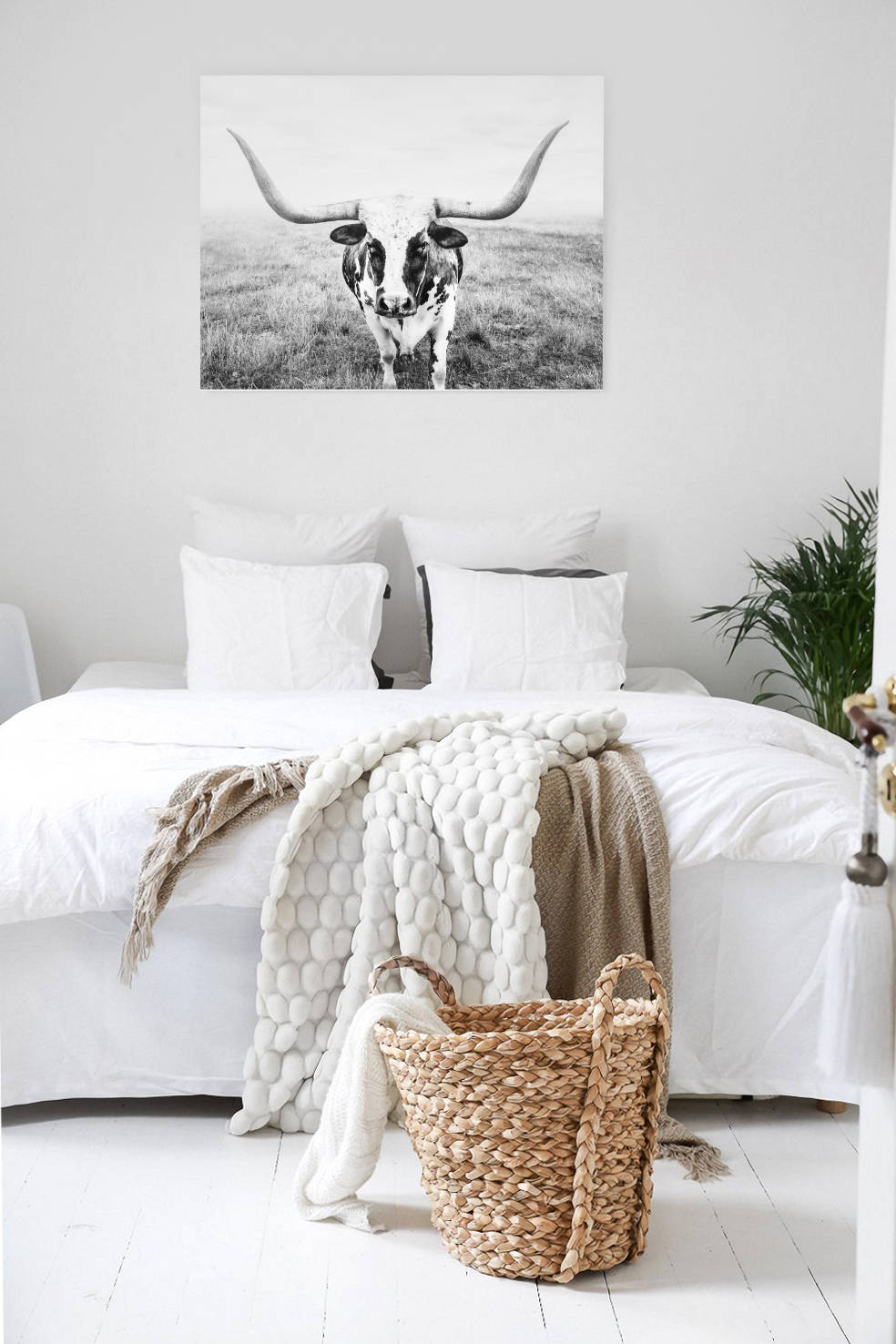 highland-cow-photo-print-bull-art-print-highland-cow-print-etsy