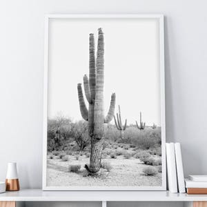 Cactus Photo, Black & White Cactus Print, Desert Art, Printable Wall Decor, Cactus Digital Download, South Western Decor, Desert Art Print image 1