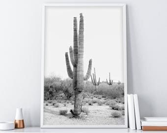 Cactus Photo, Black & White Cactus Print, Desert Art, Printable Wall Decor, Cactus Digital Download, South Western Decor, Desert Art Print