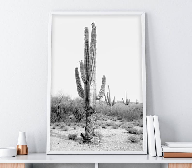 Cactus Photo, Black & White Cactus Print, Desert Art, Printable Wall Decor, Cactus Digital Download, South Western Decor, Desert Art Print image 1