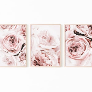 May include: Three framed prints of close-up photos of pink roses. The roses are in focus and the background is blurred.