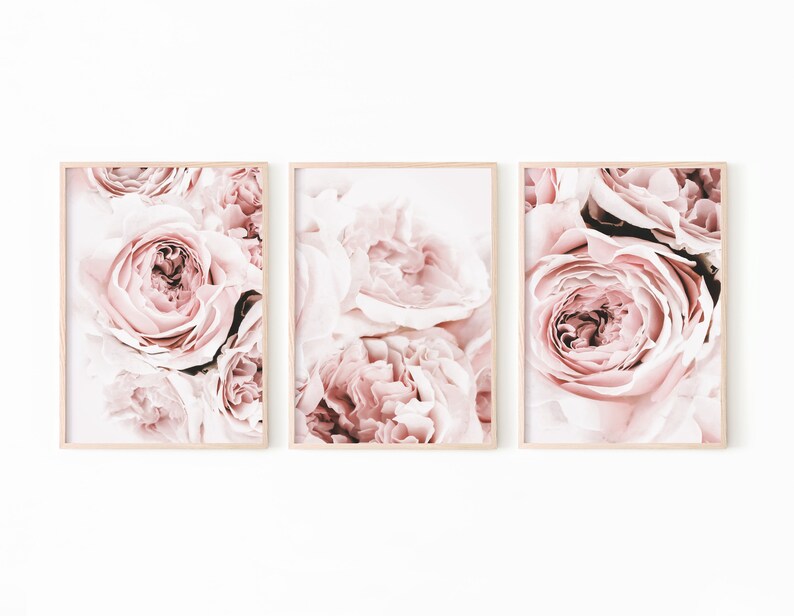 May include: Three framed prints of close-up photos of pink roses. The roses are in focus and the background is blurred.