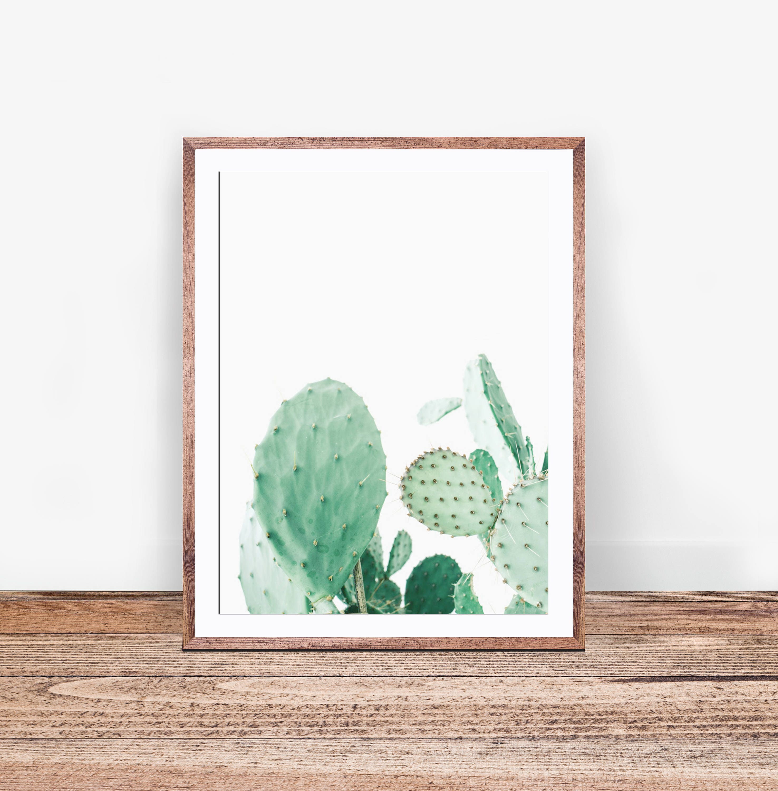 Mint Cactus Print, Desert Wall Art Print, Cactus Photo, Prickly Pear ...