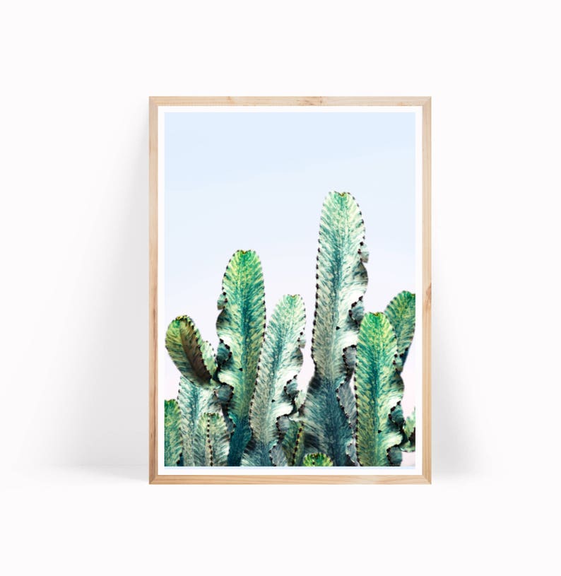 Cactus Photo Print, Desert Collage Art, Wall Art Decor, California Cactus, Southwestern Print, California Desert Print, Cactus Digital Print image 1