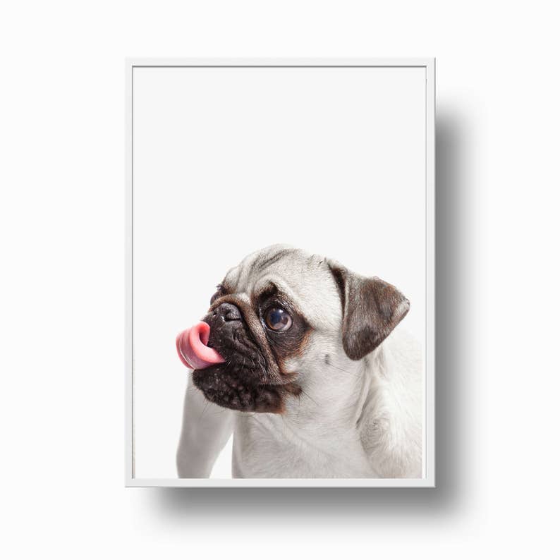 Pug Print, Pug Printable, Pug Art Print, Dog Poster, Pug Art, Dog Print, Pug Lovers, Animal Photography,Pug Poster, Pug Wall Art, Dog Art image 3