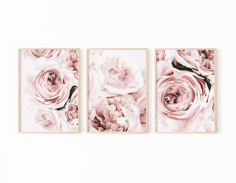 May include: A set of three framed prints featuring close-up photographs of soft pink roses.