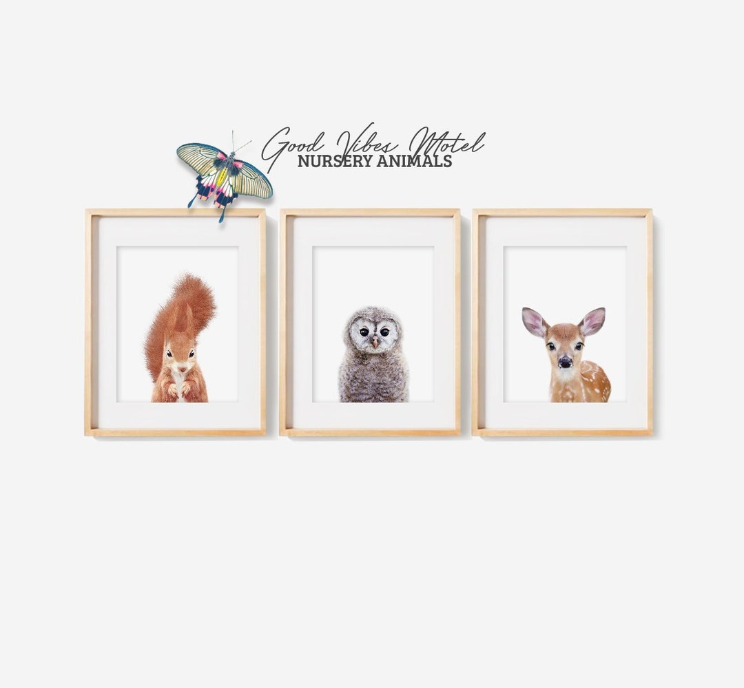 Baby Animal Prints Woodland Nursery Decor, Printable Wall Art, Set of 3 ...