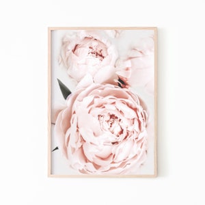 Peony Print Set of 3, Flower Print Set, Blush Pink Wall Art, Flower ...