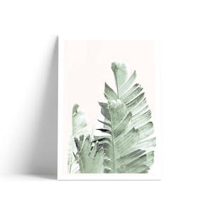 Banana Leaf Print, Tropical Leaf Print, Banana Leaves, Palm Leaf Print, Tropical Art, Botanical Print, Palm Poster, Palm Leaf Printable