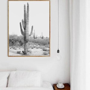 Cactus Photo, Black & White Cactus Print, Desert Art, Printable Wall Decor, Cactus Digital Download, South Western Decor, Desert Art Print image 4