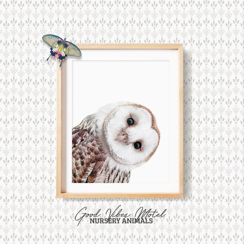 May include: A framed print of a barn owl with a white face and brown feathers, looking directly at the viewer. The print is titled "Good Vibes Motel Nursery Animals".