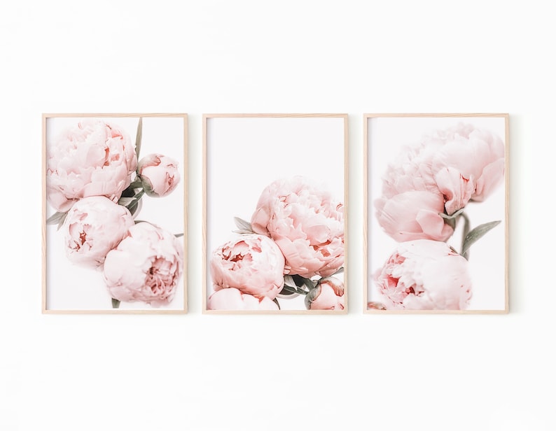 Peony Wall Art, Peony Print Set of 3, Blush Pink Wall Art, Botanical ...