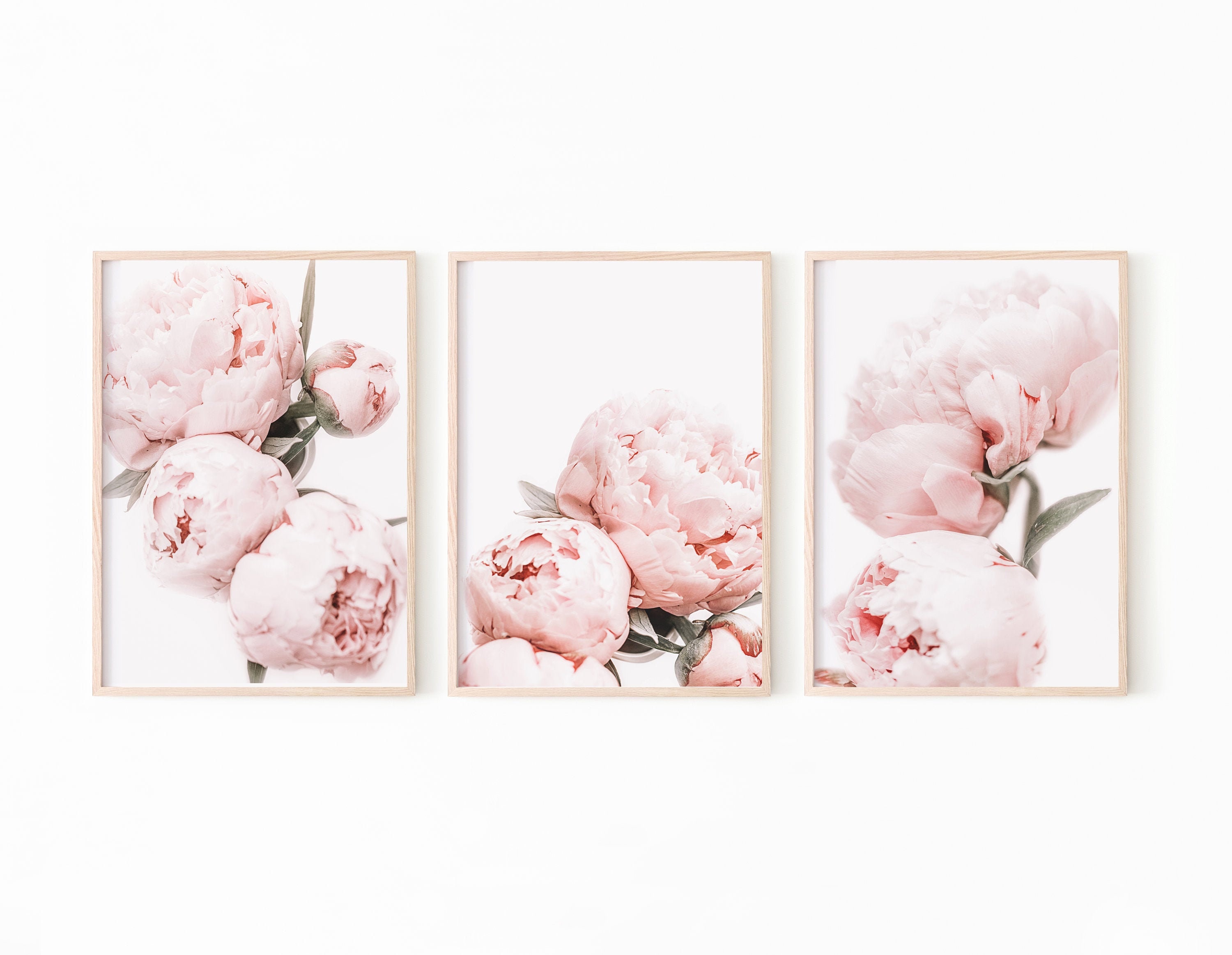 Peony Wall Art Peony Print Set of 3 Blush Pink Wall Art Etsy