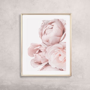 Op de afbeelding: Een ingelijste print van een close-up van zachte roze pioenen. De bloemen zijn in een cluster gerangschikt en vullen het frame.