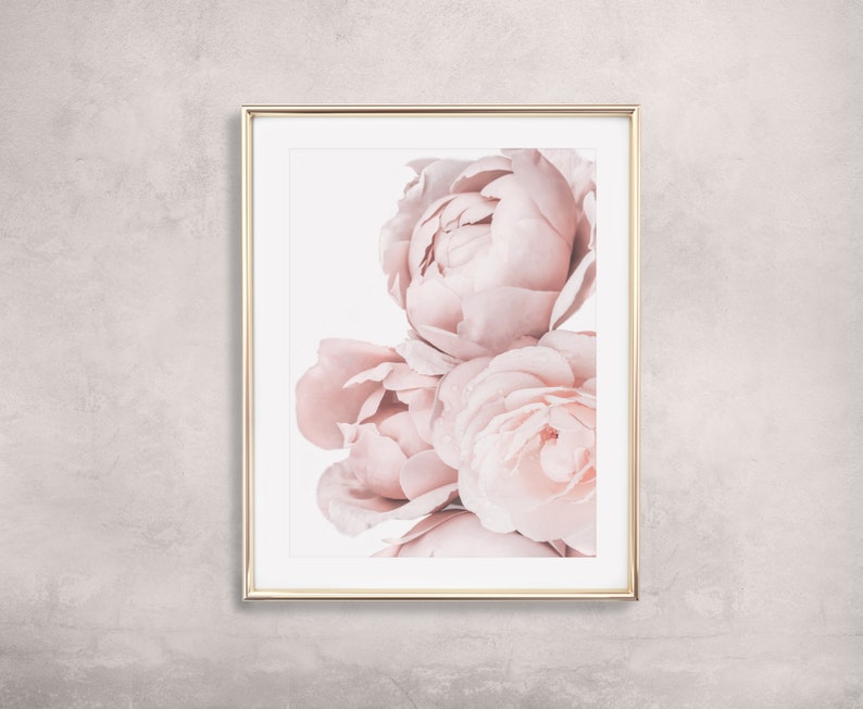 Op de afbeelding: Een ingelijste print van een close-up van zachte roze pioenen. De bloemen zijn in een cluster gerangschikt en vullen het frame.