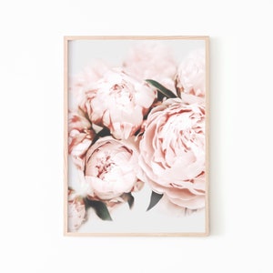 Peony Print Set of 3, Flower Print Set, Blush Pink Wall Art, Flower ...
